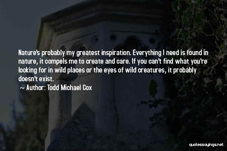 Looking For Something That Doesn't Exist Quotes By Todd Michael Cox