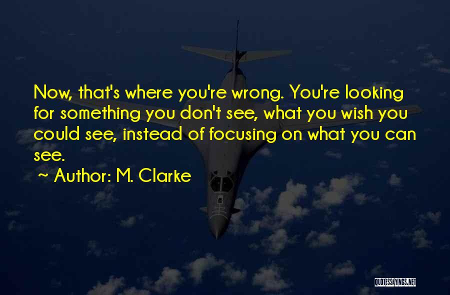 Looking For Something Wrong Quotes By M. Clarke