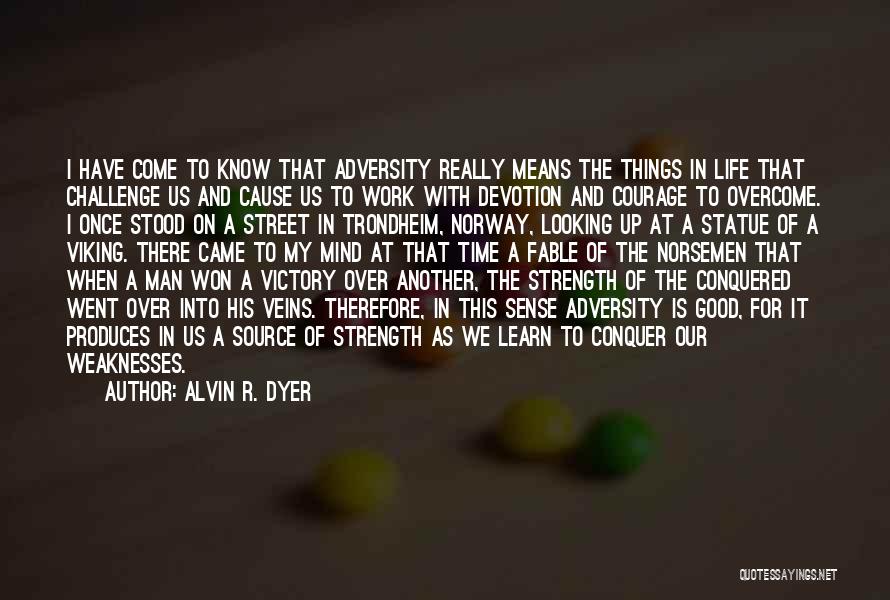 Looking For The Good Things In Life Quotes By Alvin R. Dyer