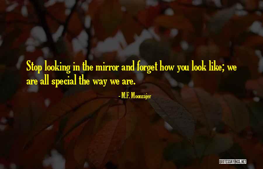 Looking For The Special Someone Quotes By M.F. Moonzajer