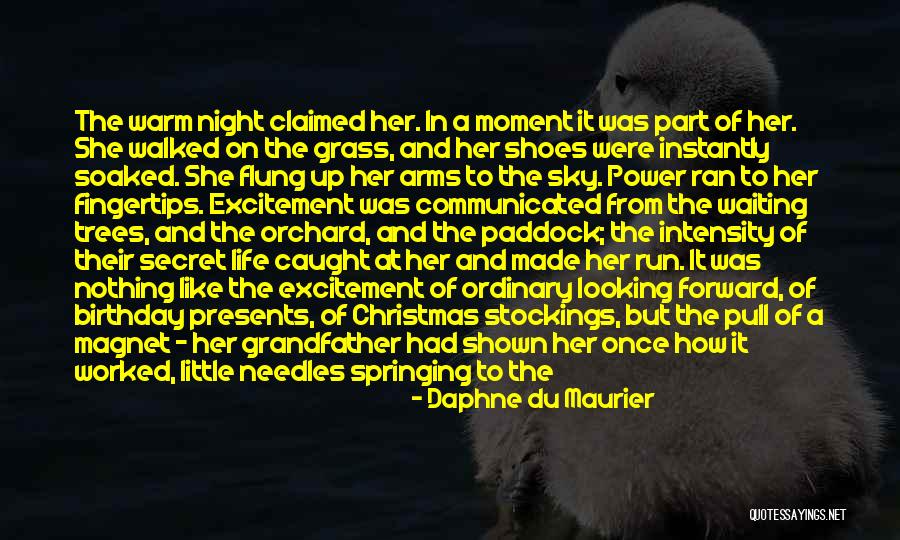 Looking Forward To Christmas Quotes By Daphne Du Maurier