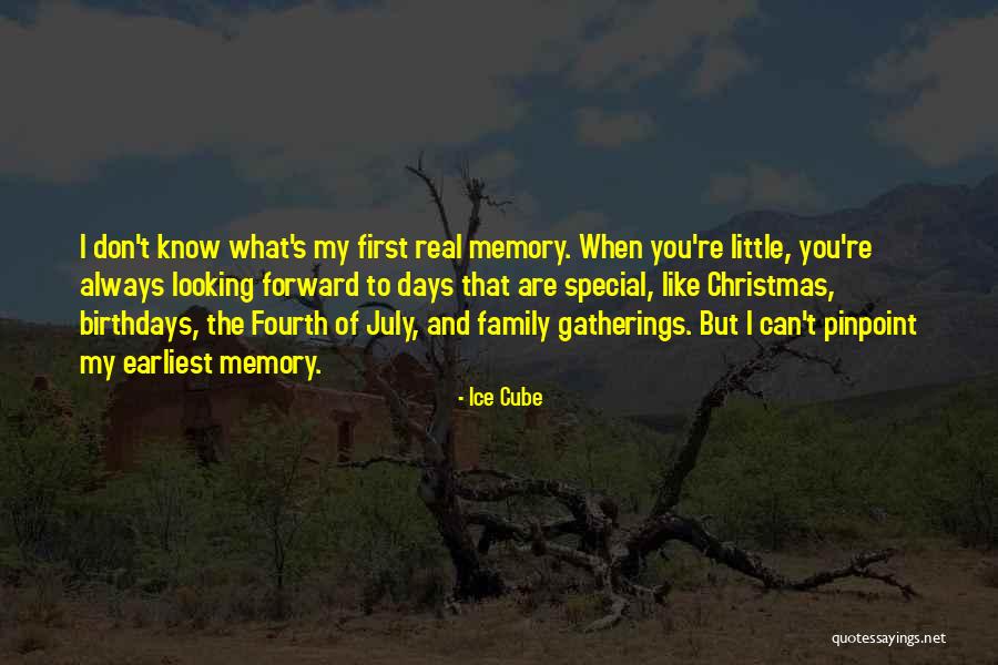 Looking Forward To Christmas Quotes By Ice Cube Looking Forward To Christmas Quotes By Ice Cube