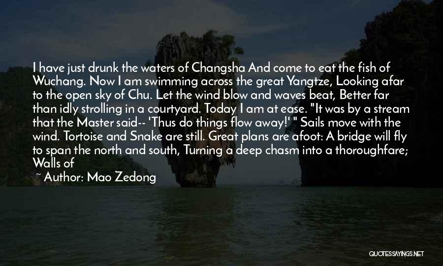 Looking From Afar Quotes By Mao Zedong