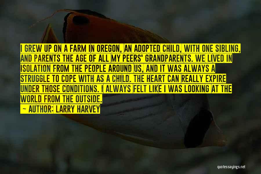 Looking From The Outside In Quotes By Larry Harvey