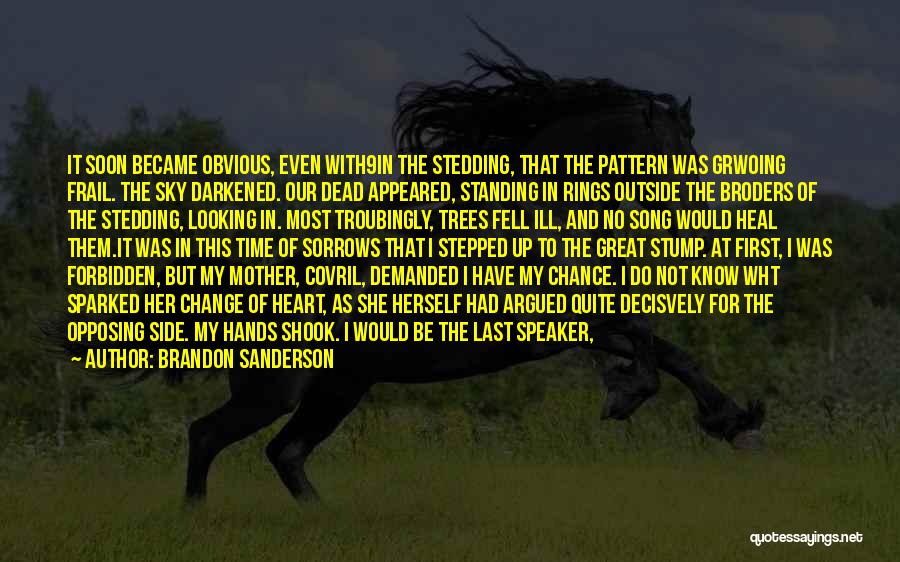 Looking From The Outside Quotes By Brandon Sanderson