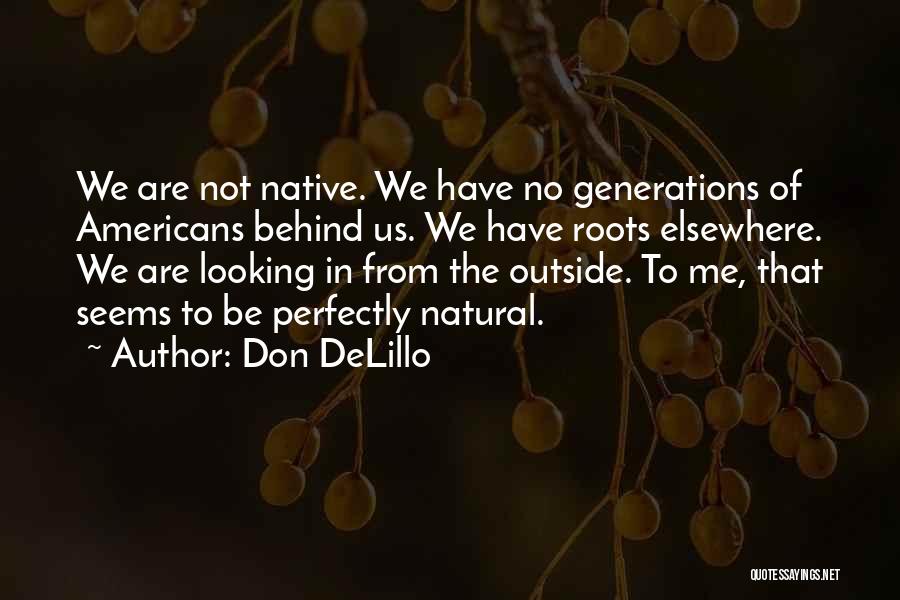 Looking From The Outside Quotes By Don DeLillo
