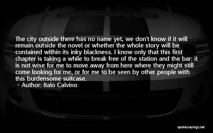 Looking From The Outside Quotes By Italo Calvino