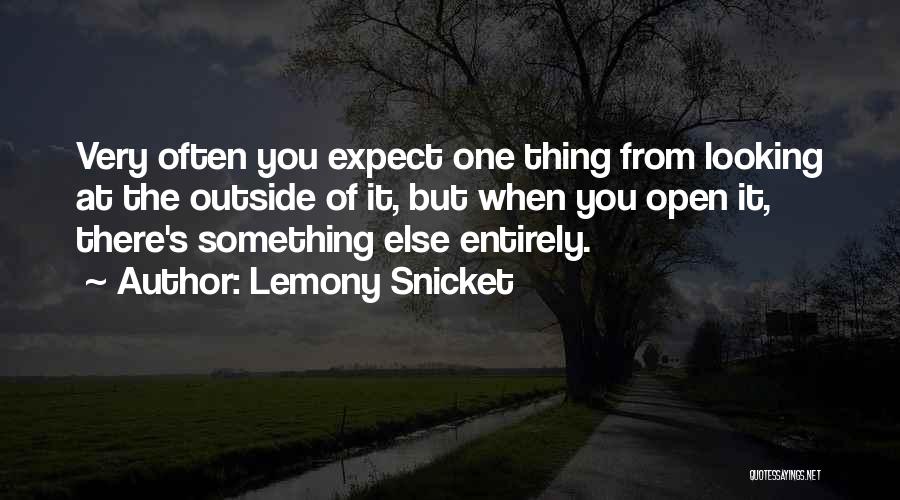 Looking From The Outside Quotes By Lemony Snicket