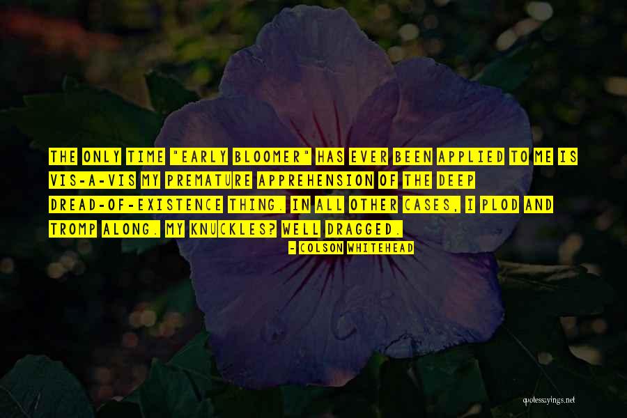 Looking Glass Richard Paul Evans Quotes By Colson Whitehead Looking Glass Richard Paul Evans Quotes By Colson Whitehead