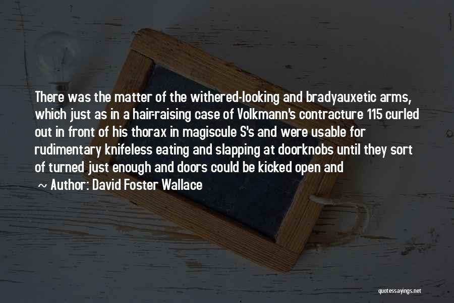Looking In Front Quotes By David Foster Wallace