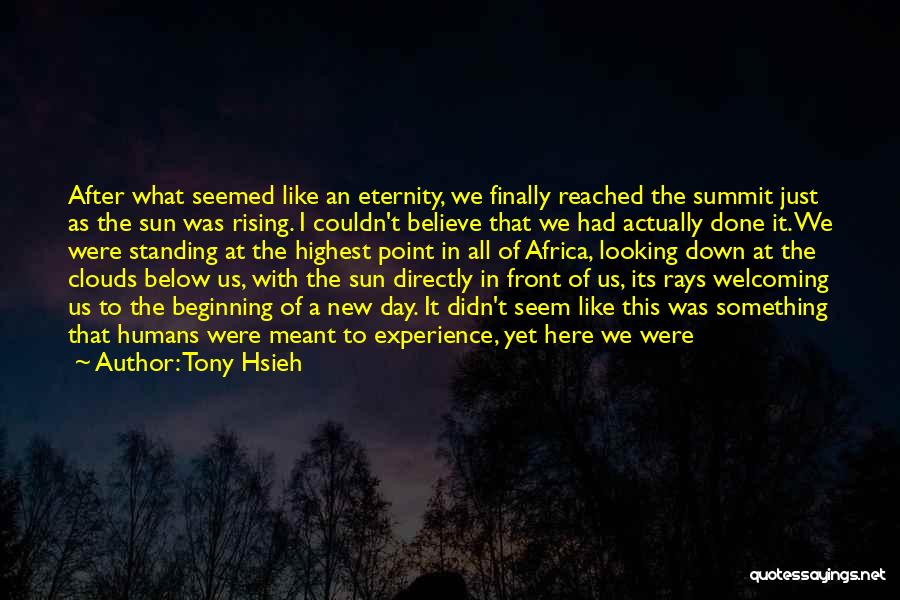 Looking In Front Quotes By Tony Hsieh