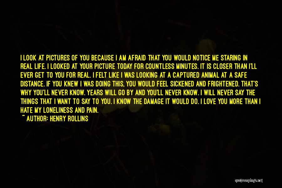 Looking In The Distance Quotes By Henry Rollins