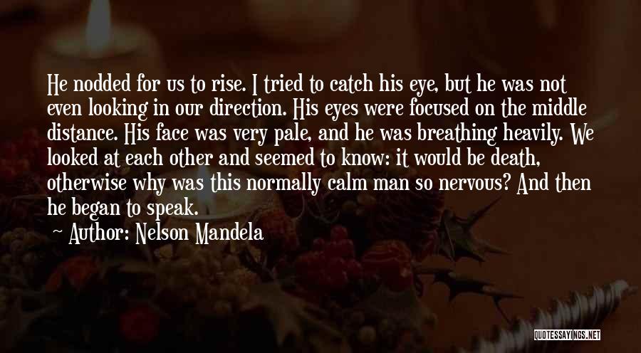 Looking In The Distance Quotes By Nelson Mandela