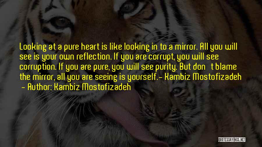 Looking In The Mirror Quotes By Kambiz Mostofizadeh