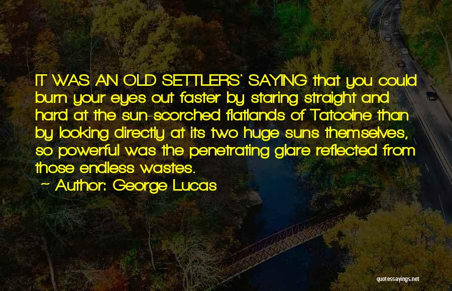 Looking Into Each Other Eyes Quotes By George Lucas