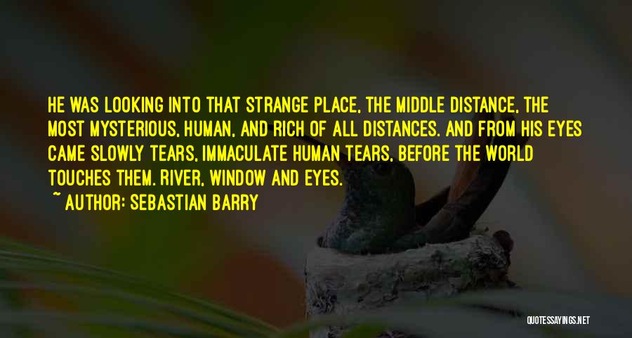 Looking Into His Eyes Quotes By Sebastian Barry
