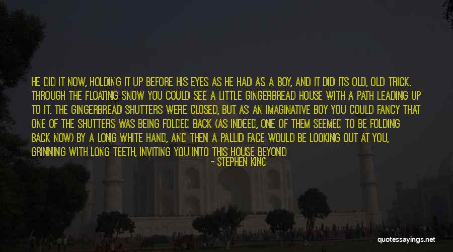 Looking Into One's Eyes Quotes By Stephen King