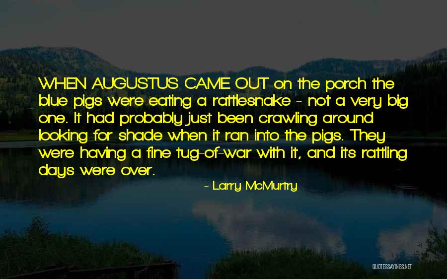 Looking Into Quotes By Larry McMurtry Looking Into Quotes By Larry McMurtry