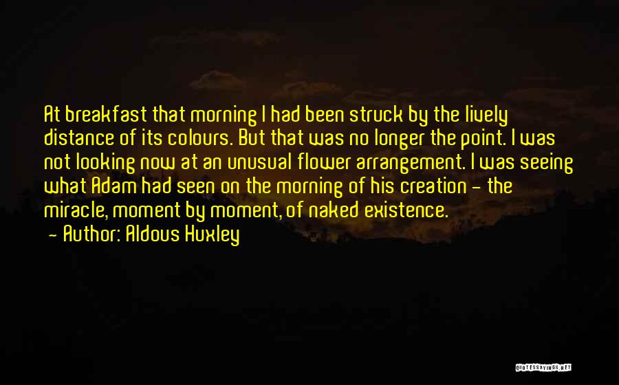 Looking Into The Distance Quotes By Aldous Huxley