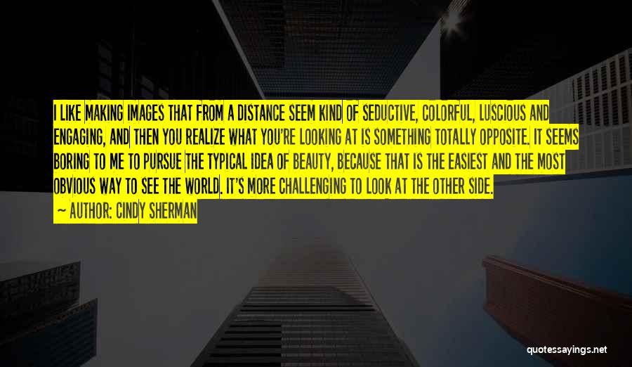 Looking Into The Distance Quotes By Cindy Sherman