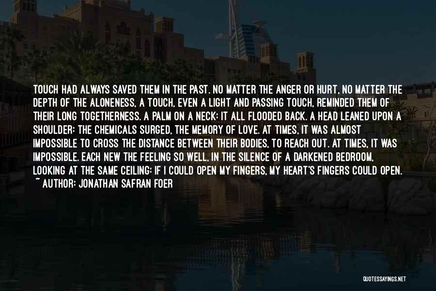 Looking Into The Distance Quotes By Jonathan Safran Foer