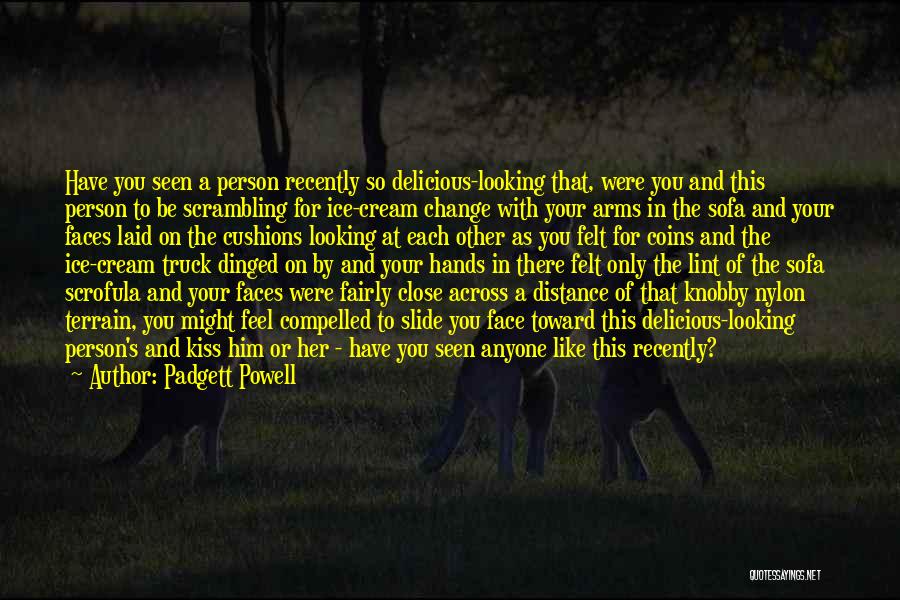 Looking Into The Distance Quotes By Padgett Powell