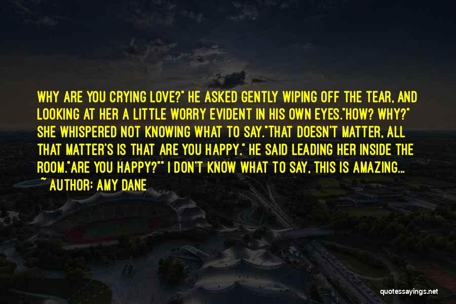 Looking Into The Eyes Of Someone You Love Quotes By Amy Dane