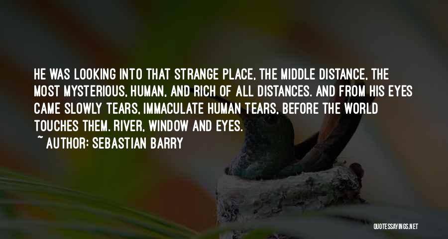 Looking Into The Eyes Quotes By Sebastian Barry