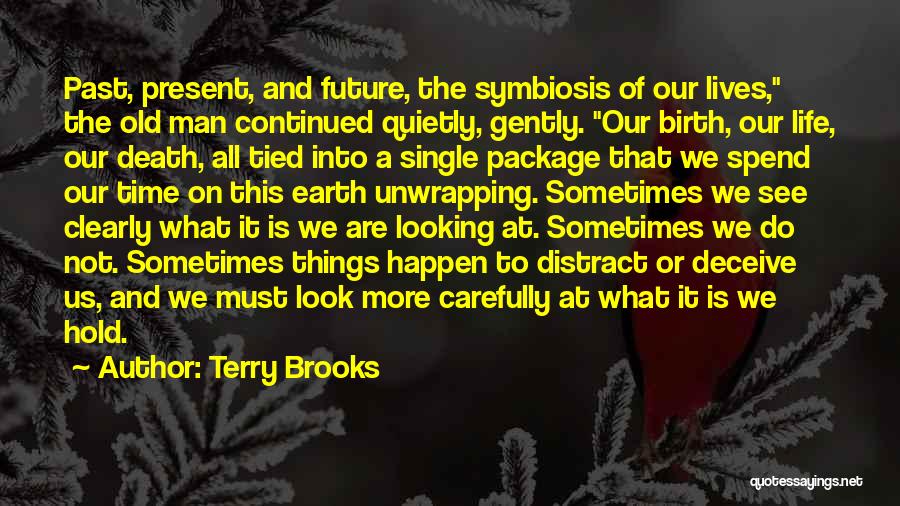 Looking Into The Past Quotes By Terry Brooks