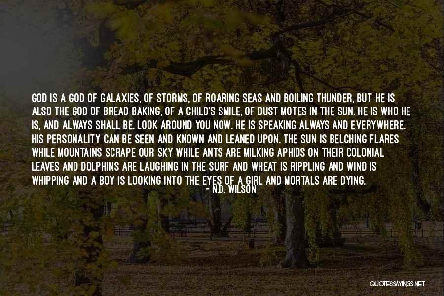 Looking Into Your Child's Eyes Quotes By N.D. Wilson Looking Into Your Child's Eyes Quotes By N.D. Wilson