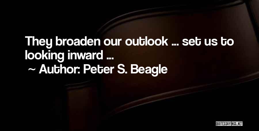 Looking Inward Quotes By Peter S. Beagle