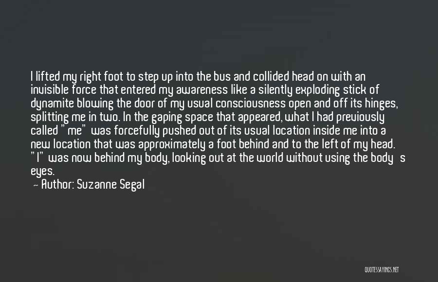 Looking Out Into The World Quotes By Suzanne Segal