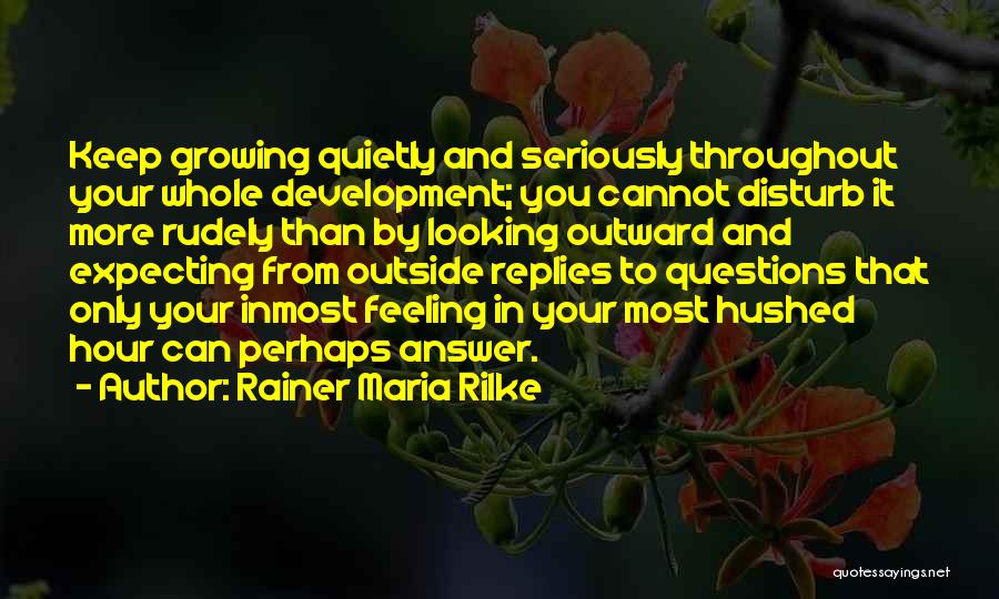 Looking Outside Quotes By Rainer Maria Rilke