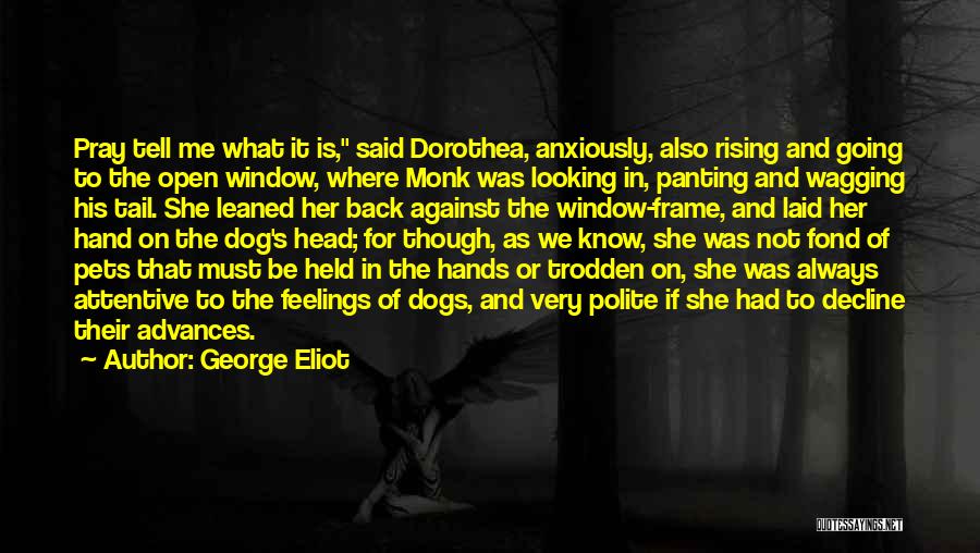 Looking Outside Window Quotes By George Eliot