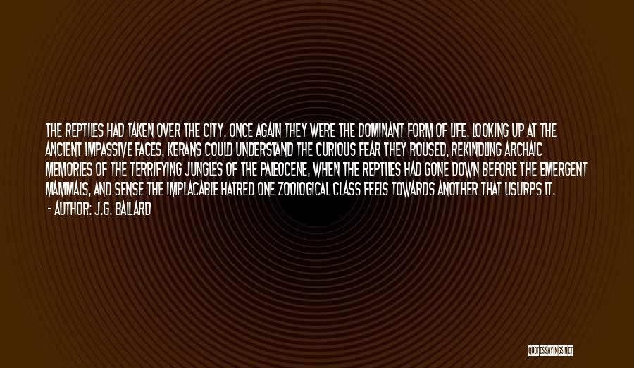 Looking Over The City Quotes By J.G. Ballard
