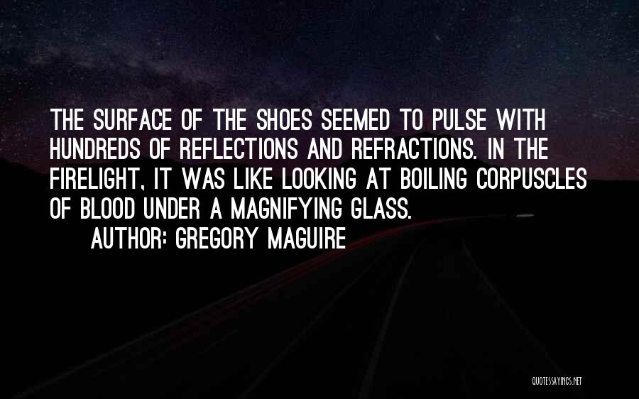 Looking Past The Surface Quotes By Gregory Maguire