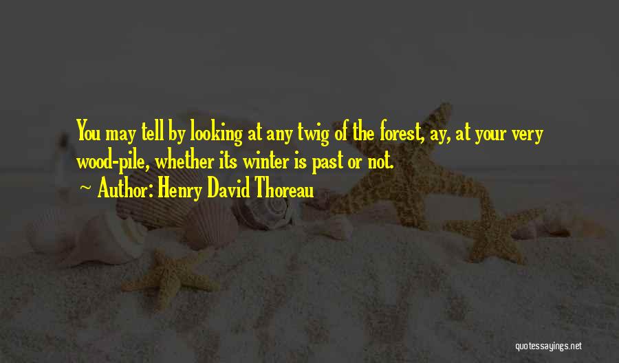 Looking Past You Quotes By Henry David Thoreau