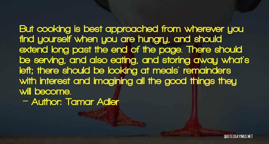 Looking Past You Quotes By Tamar Adler