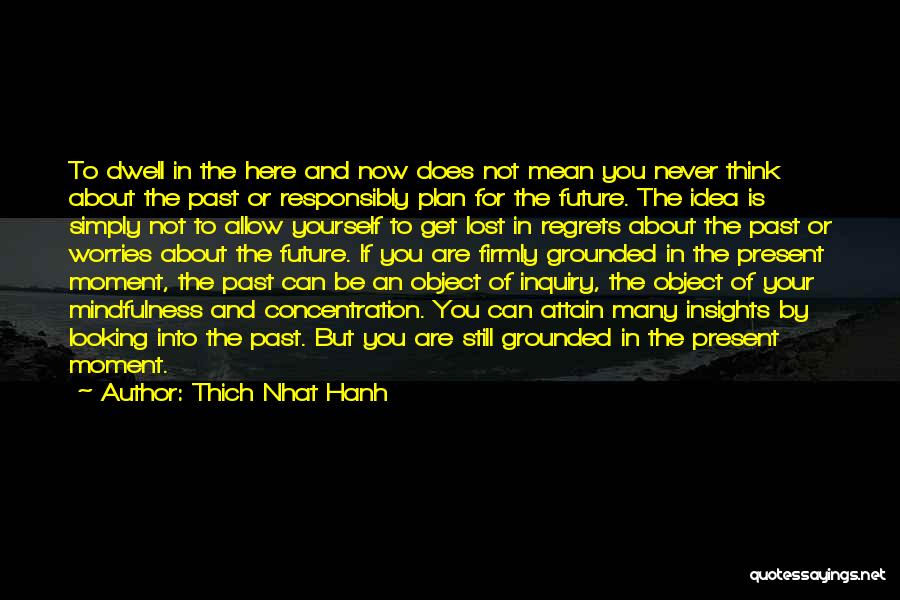 Looking Past You Quotes By Thich Nhat Hanh