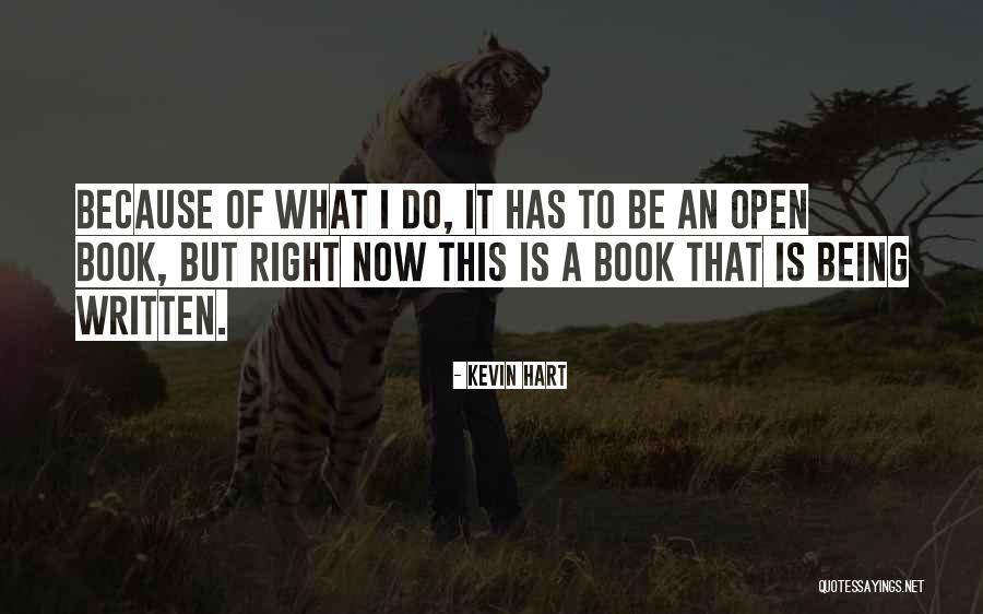 Looking Positively At Life Quotes By Kevin Hart Looking Positively At Life Quotes By Kevin Hart