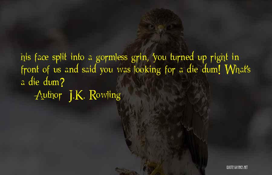 Looking Right In Front Of You Quotes By J.K. Rowling