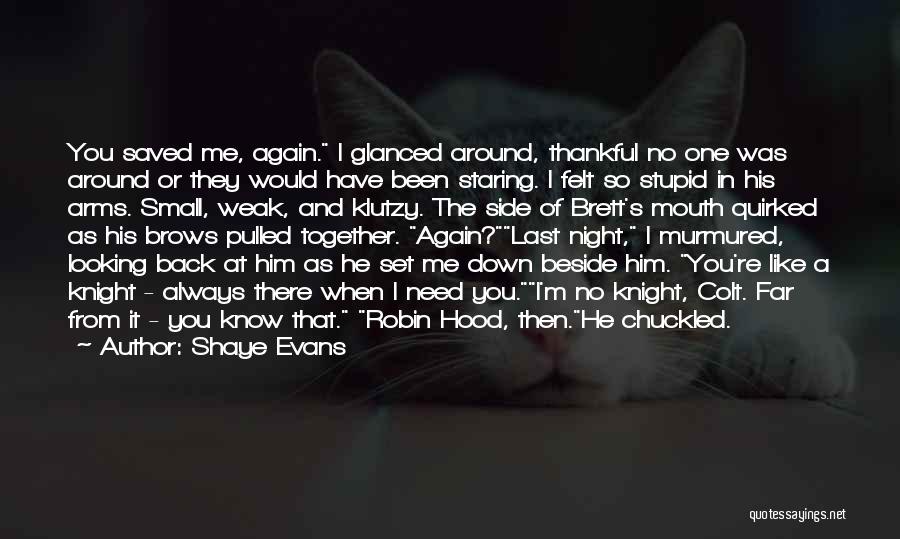 Looking So Far Quotes By Shaye Evans