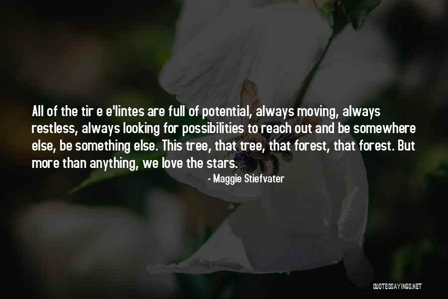 Looking Somewhere Else Quotes By Maggie Stiefvater Looking Somewhere Else Quotes By Maggie Stiefvater