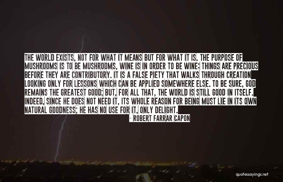 Looking Somewhere Else Quotes By Robert Farrar Capon Looking Somewhere Else Quotes By Robert Farrar Capon