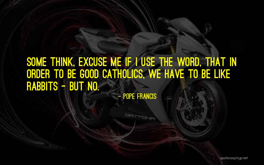 Looking Straight Ahead Quotes By Pope Francis Looking Straight Ahead Quotes By Pope Francis