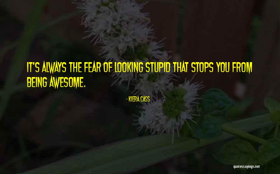 Looking Stupid Quotes By Kiera Cass Looking Stupid Quotes By Kiera Cass