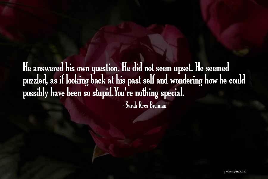 Looking Stupid Quotes By Sarah Rees Brennan Looking Stupid Quotes By Sarah Rees Brennan