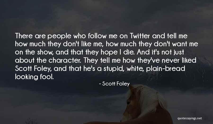 Looking Stupid Quotes By Scott Foley Looking Stupid Quotes By Scott Foley