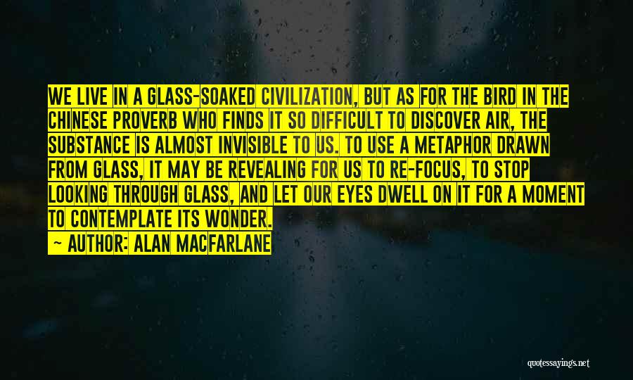 Looking Through Glasses Quotes By Alan Macfarlane