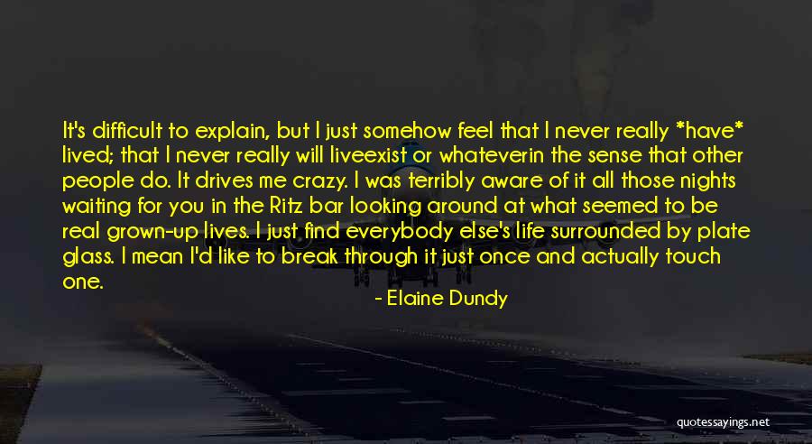 Looking Through The Glass Quotes By Elaine Dundy Looking Through The Glass Quotes By Elaine Dundy